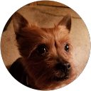 Kimberly Reaves profile picture