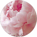 Julie Pritchett profile picture